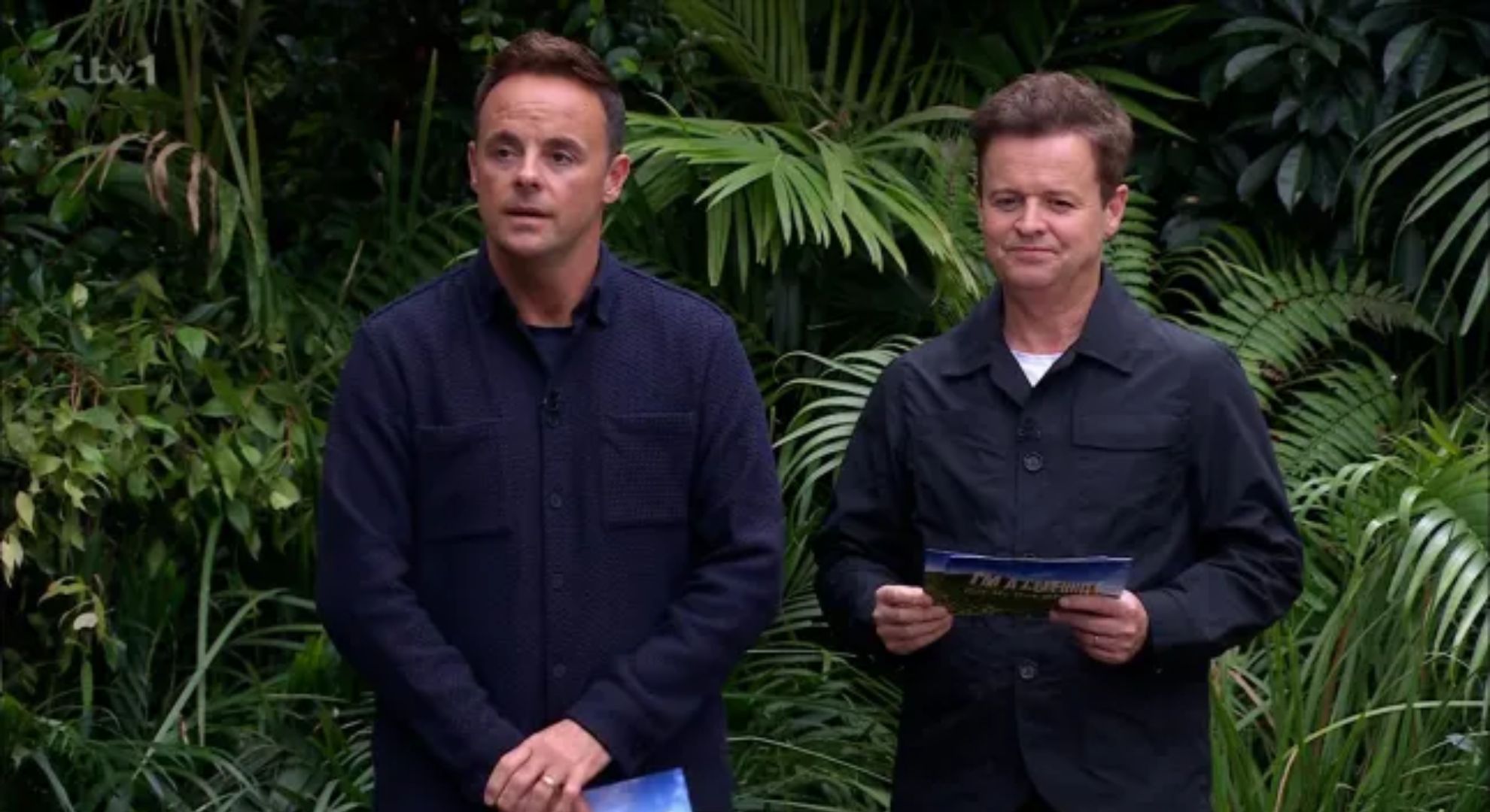 Ant McPartlin and Dec Donnelly on I'm A Celebrity