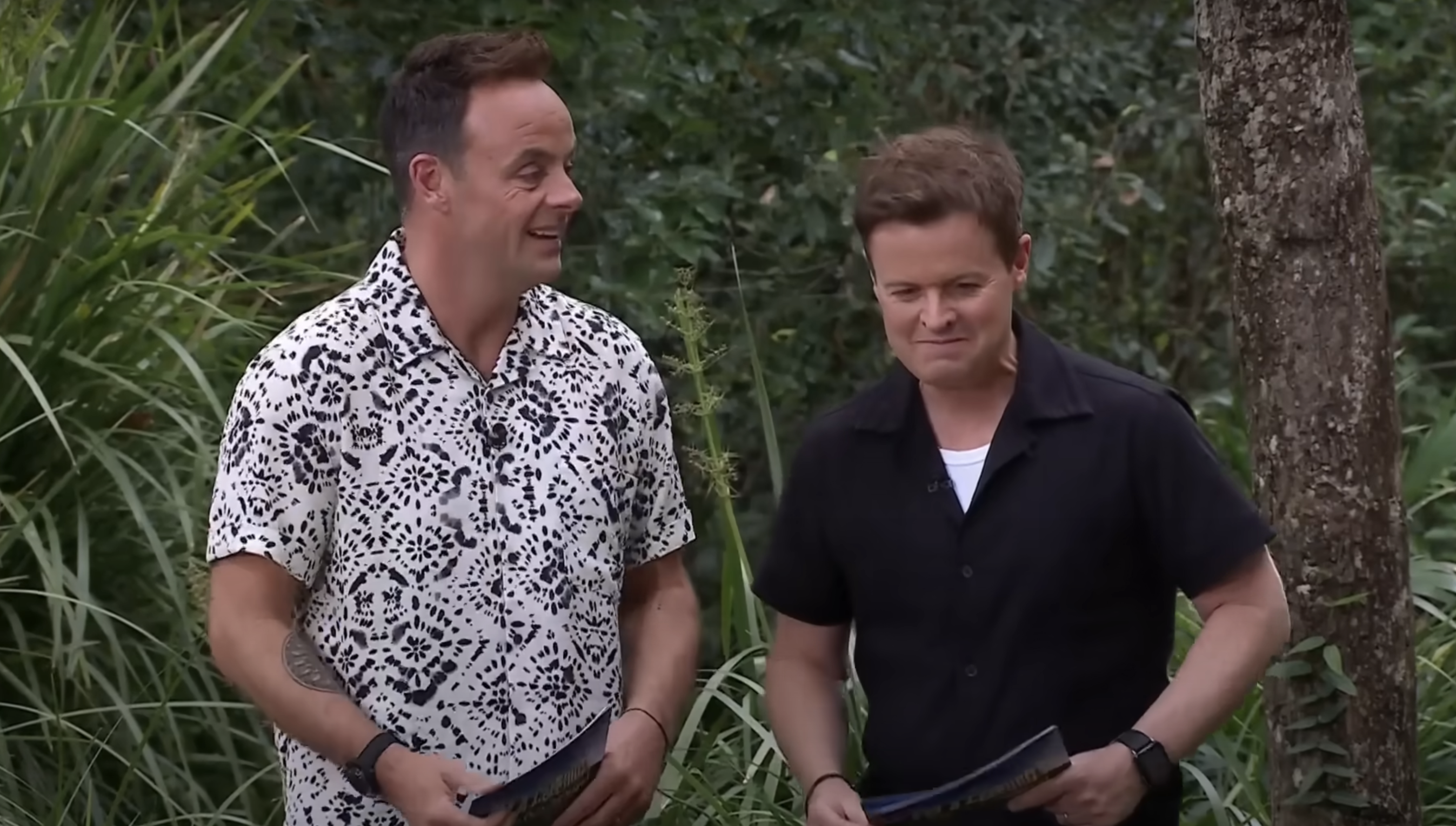 Ant and Dec presenting I'm A Celebrity