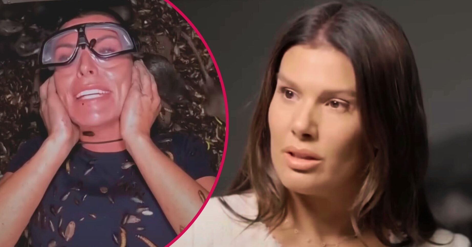 ED! composite of Coleen Rooney covered in bugs during I'm A Celebrity trial and Rebekah Vardy talking on TalkTV