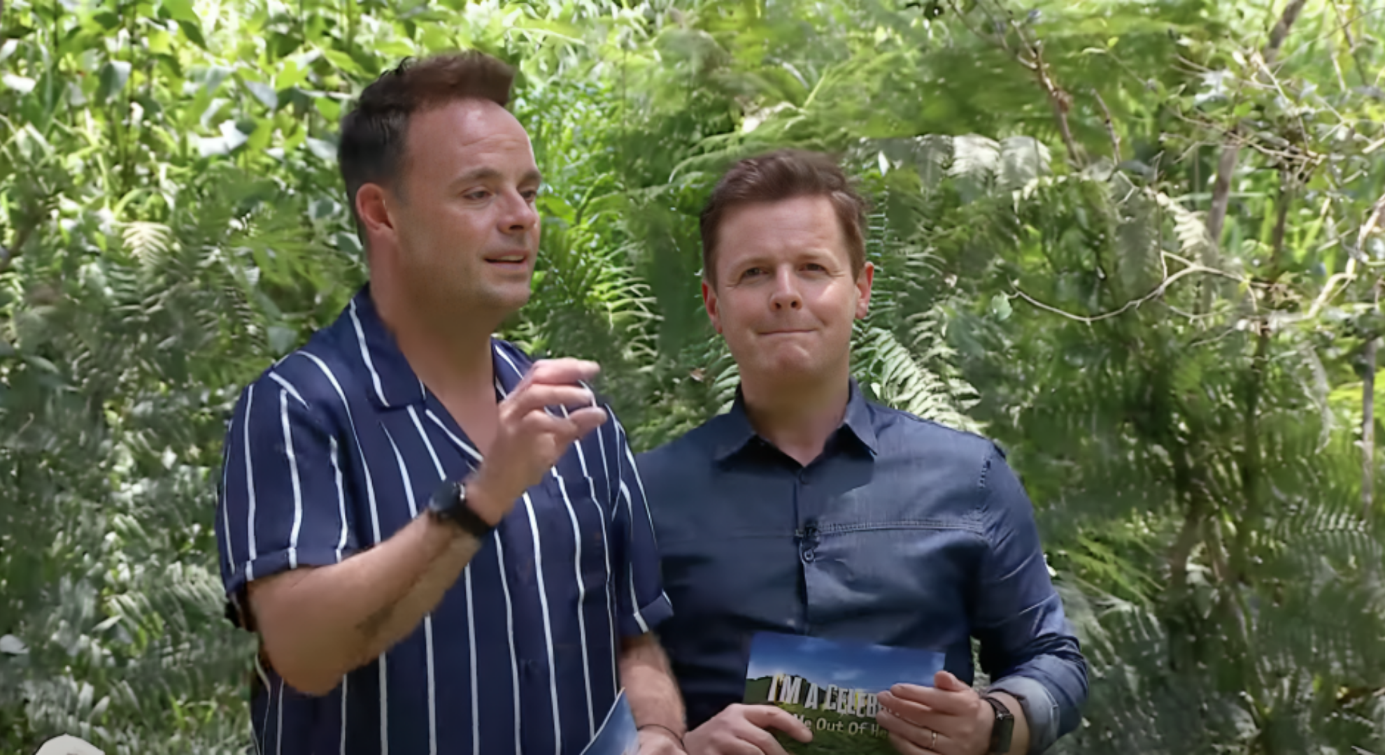 Ant has his hand raised and Dec bites his lips on I'm A Celebrity