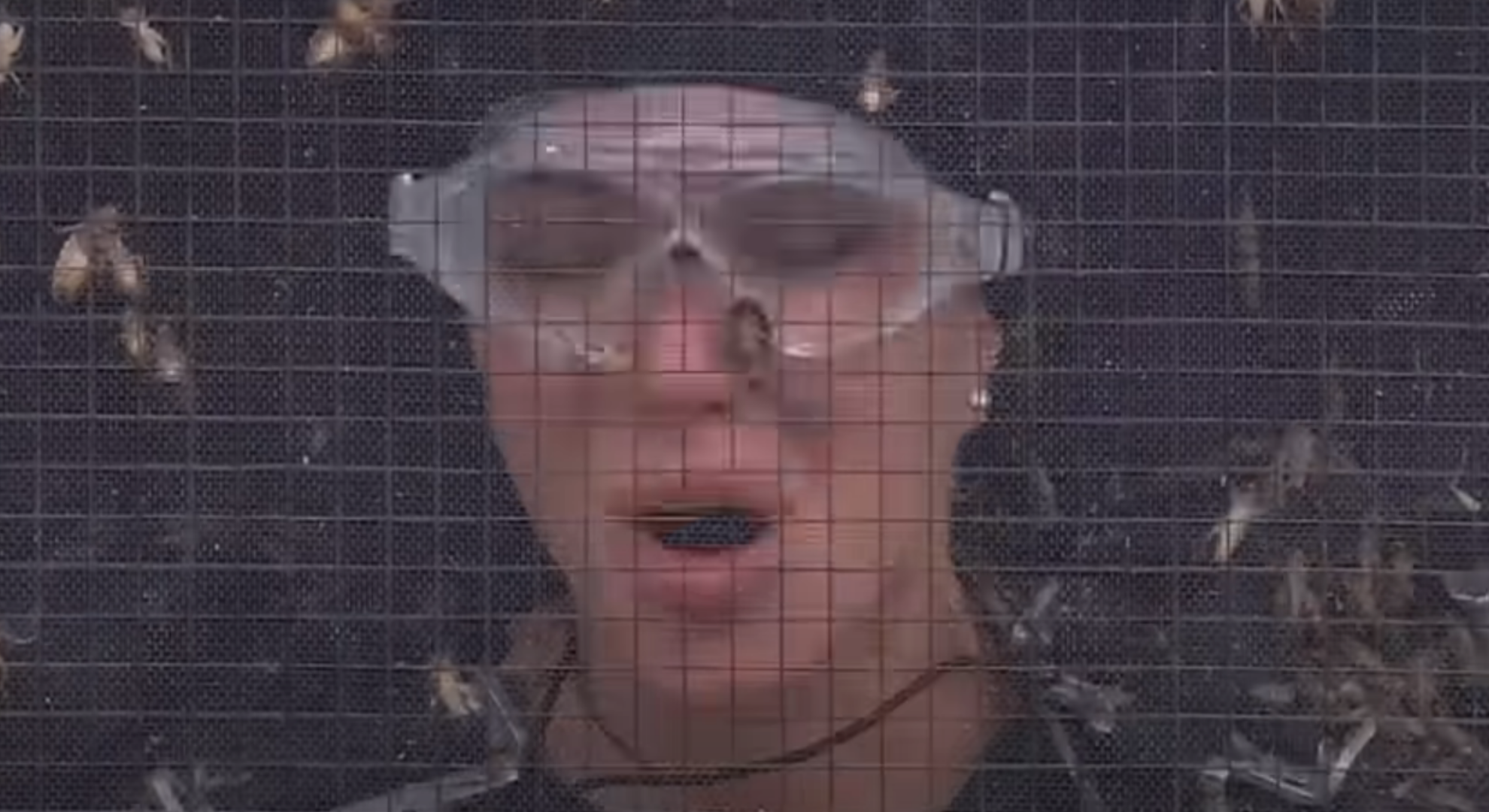 Tulisa screaming during her first solo Bushtucker trial 