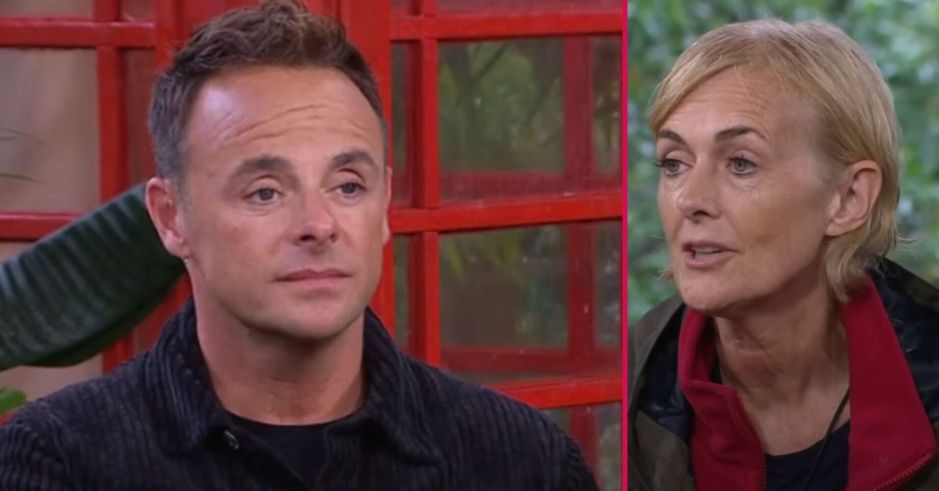 ED! composite of Ant McPartlin on I'm A Celebrity Unpacked and Jane Moore in exit interview