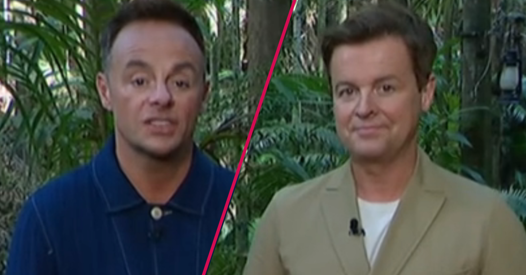I'm A Celebrity hosts Ant and Dec