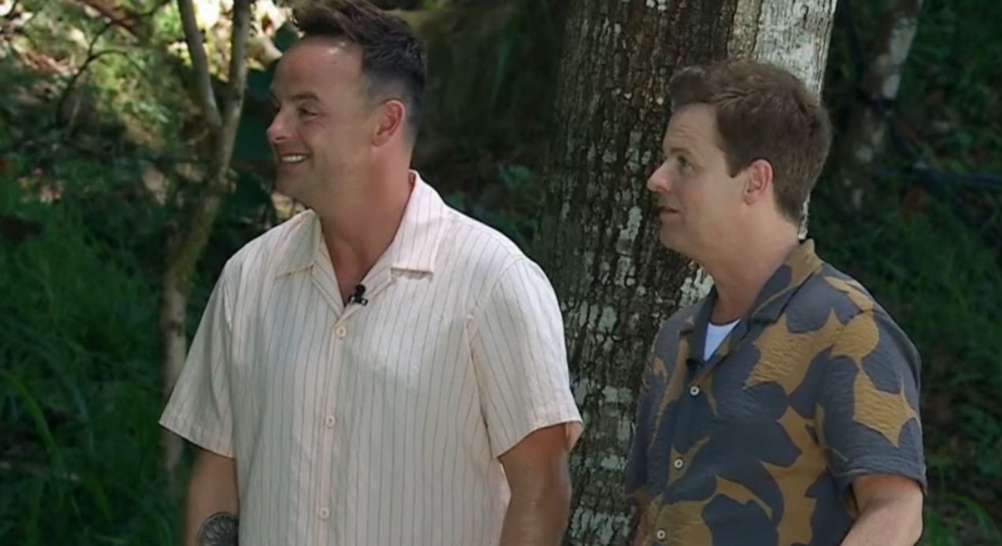 Ant and Dec on I'm A Celeb