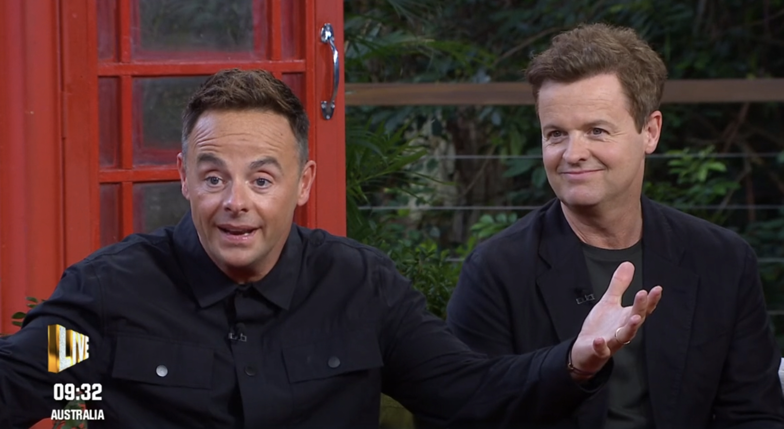 Ant and Dec on Unpacked