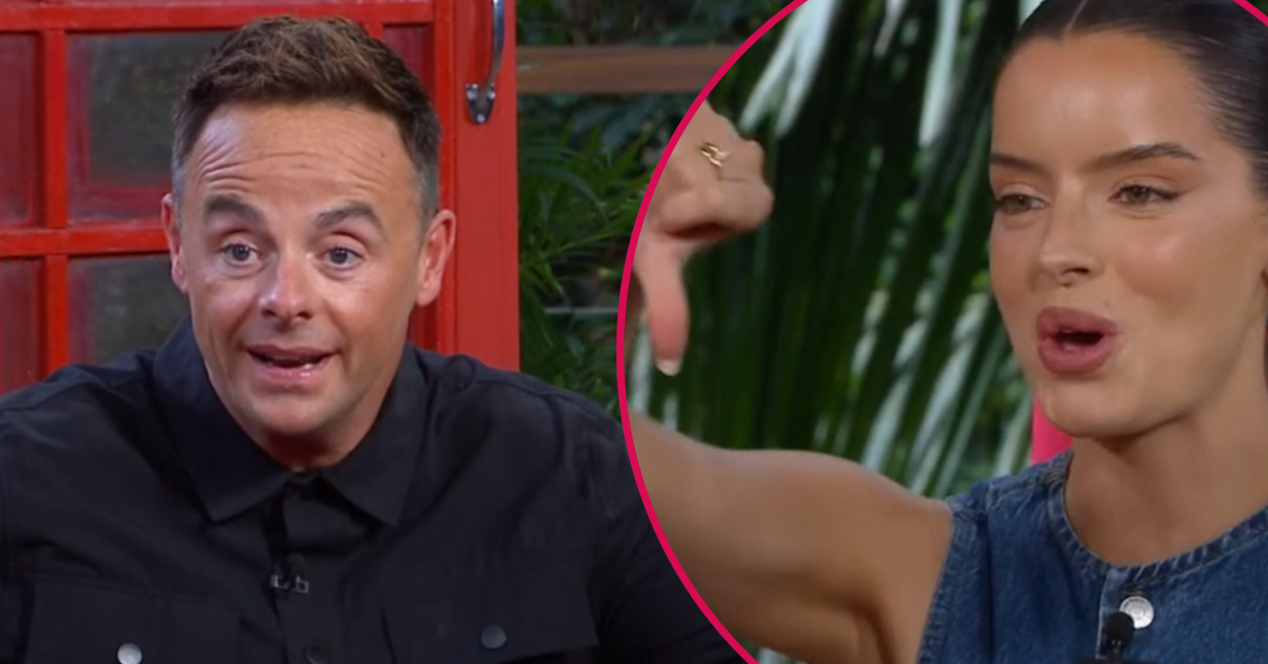 I'm A Celebrity voting backlash