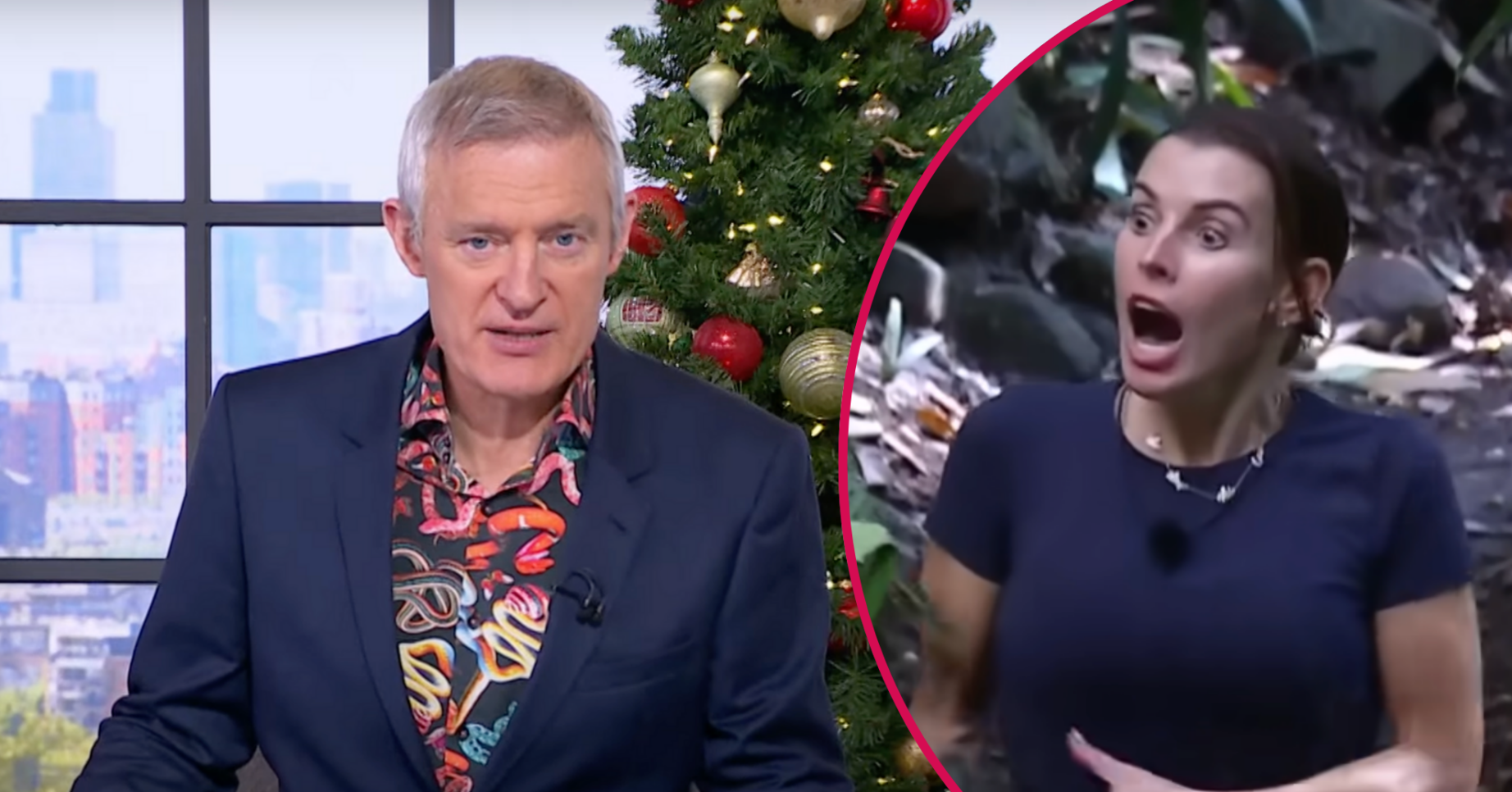 Jeremy Vine / Coleen Rooney comments