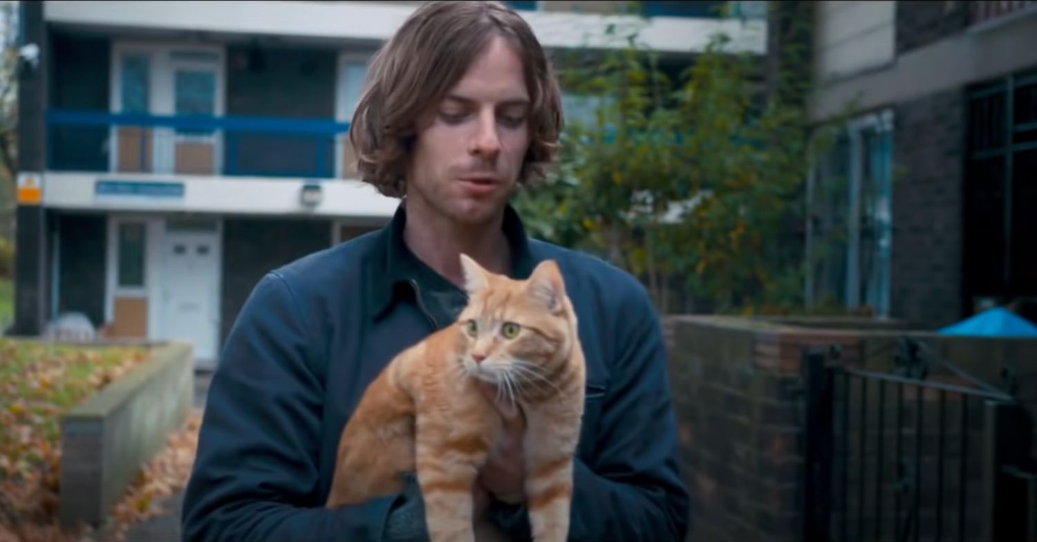 The Serial Killer's Wife star Luke Treadaway and Bob the cat 