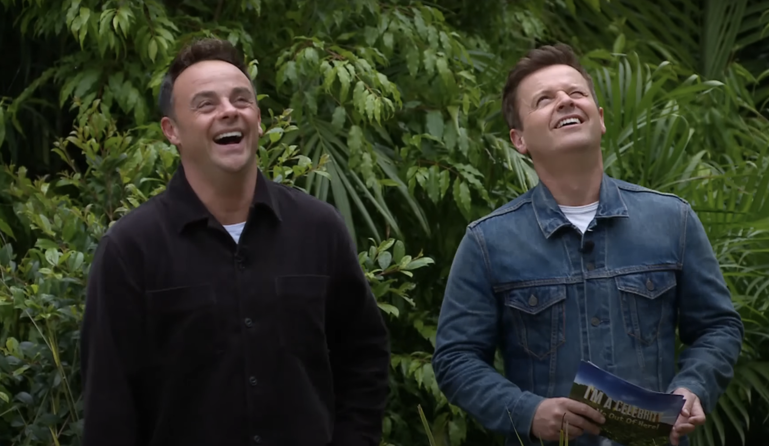 Ant and Dec on I'm A Celebrity... Get Me Out Of Here!