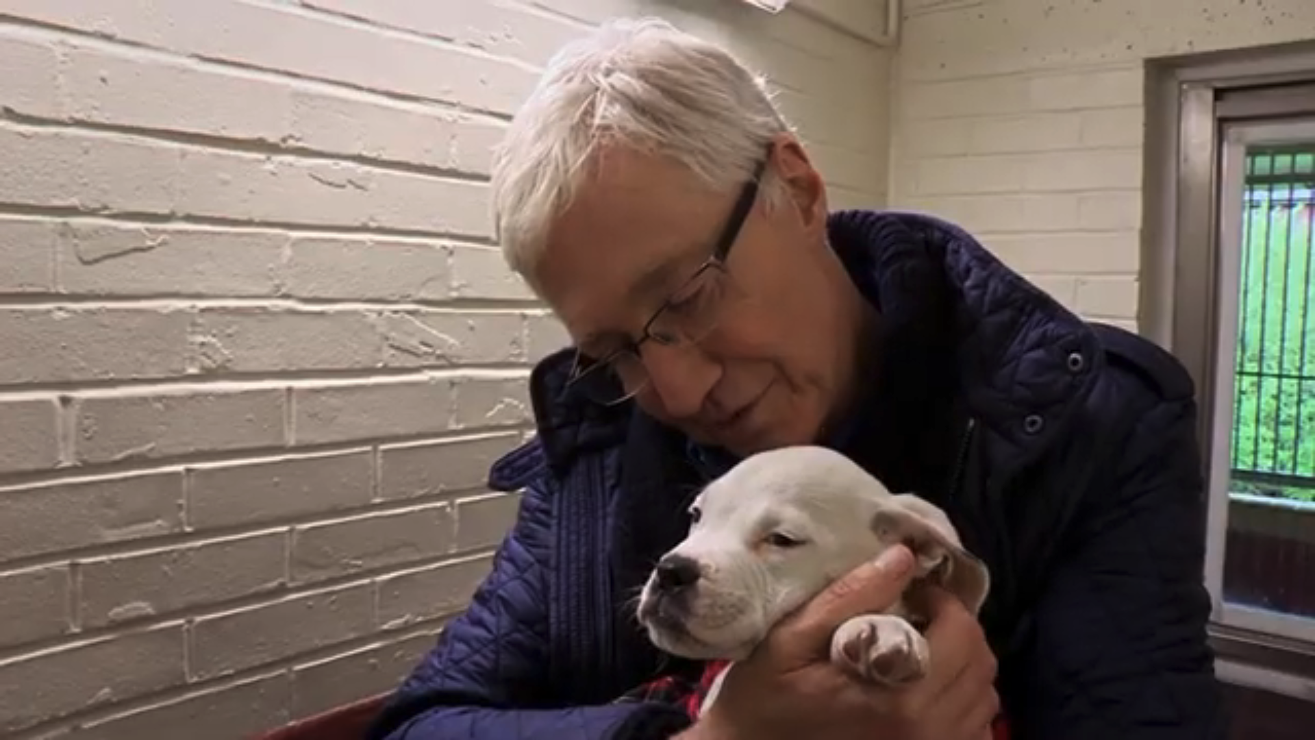 Paul O'Grady cuddling a dog
