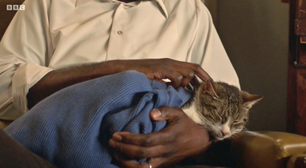 Nigel the cat on Call the Midwife