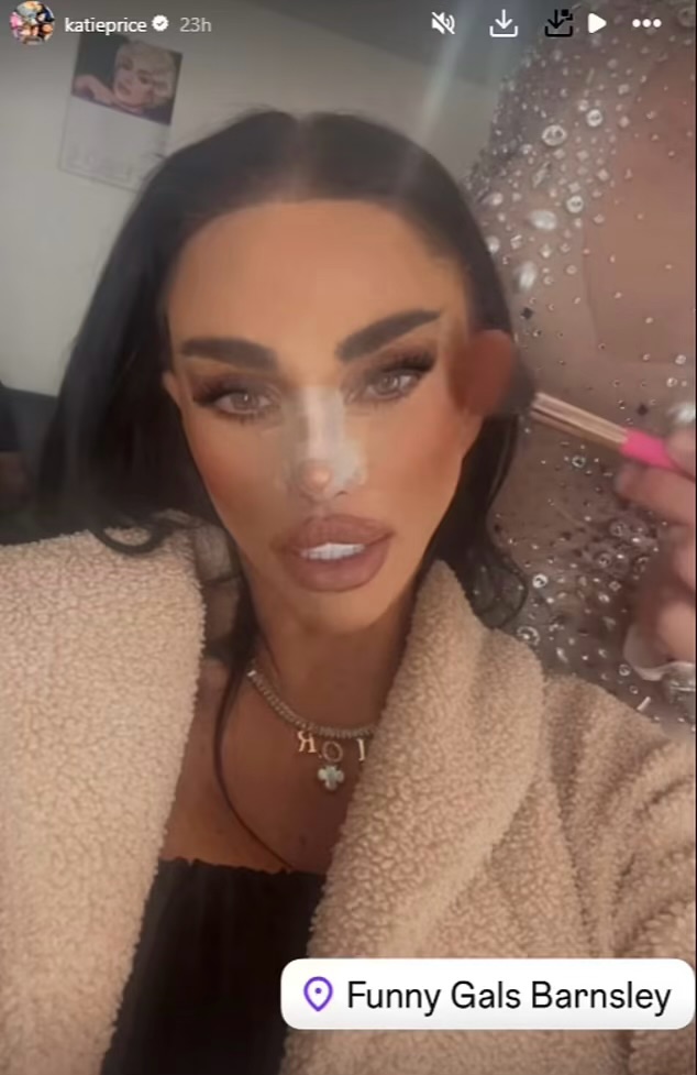 Katie Price poses in an Instagram Story 