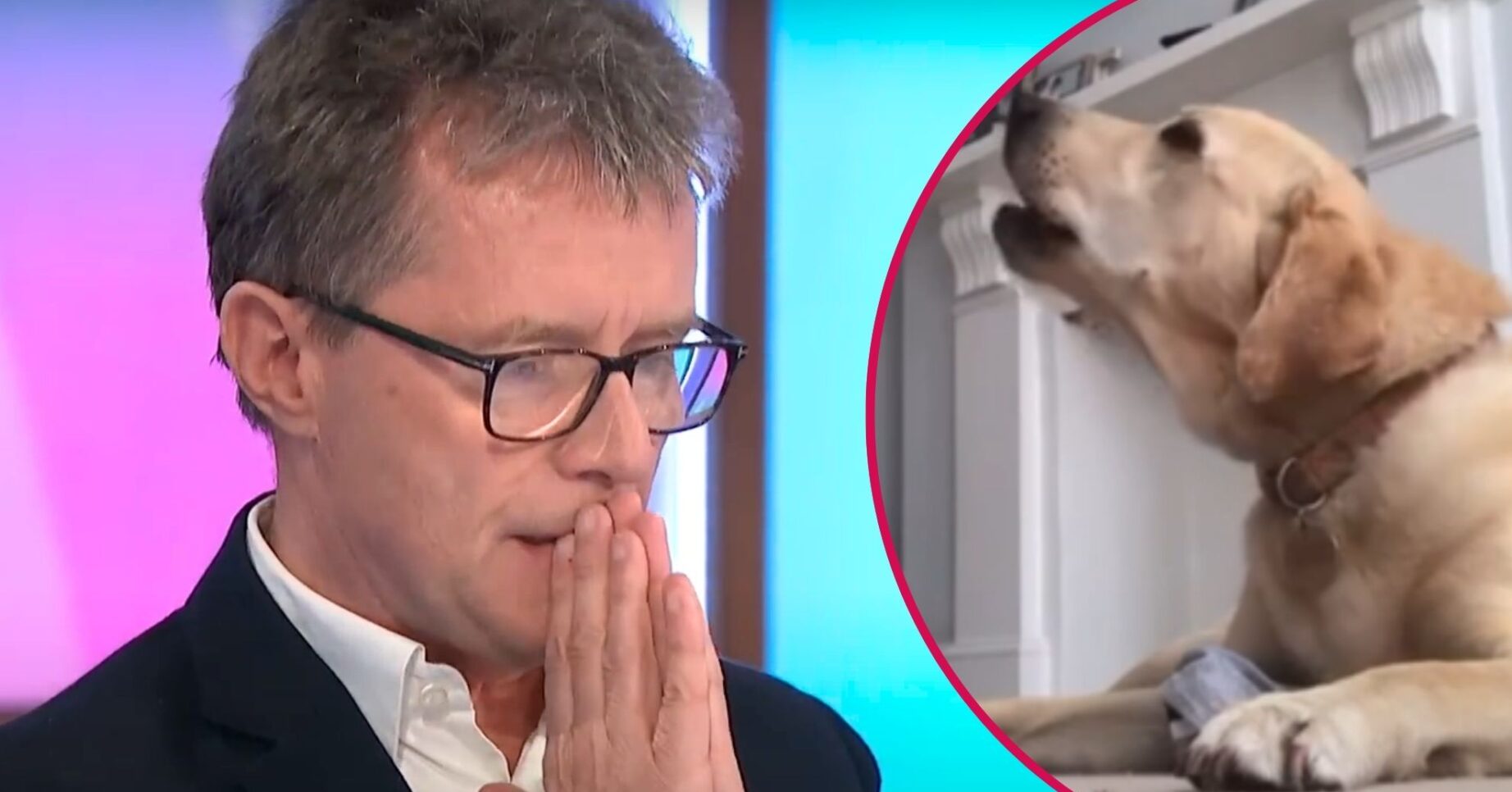 Split image of Nicky Campbell (left) and his pet dog Maxwell (right)