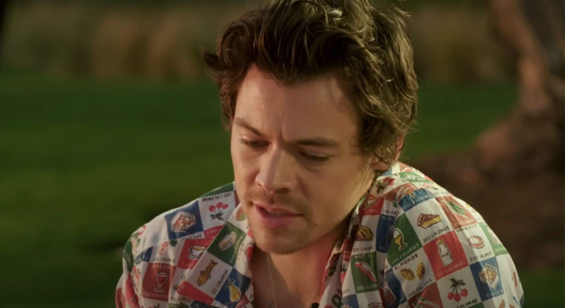 Harry Styles wears a checkered patterned shirt