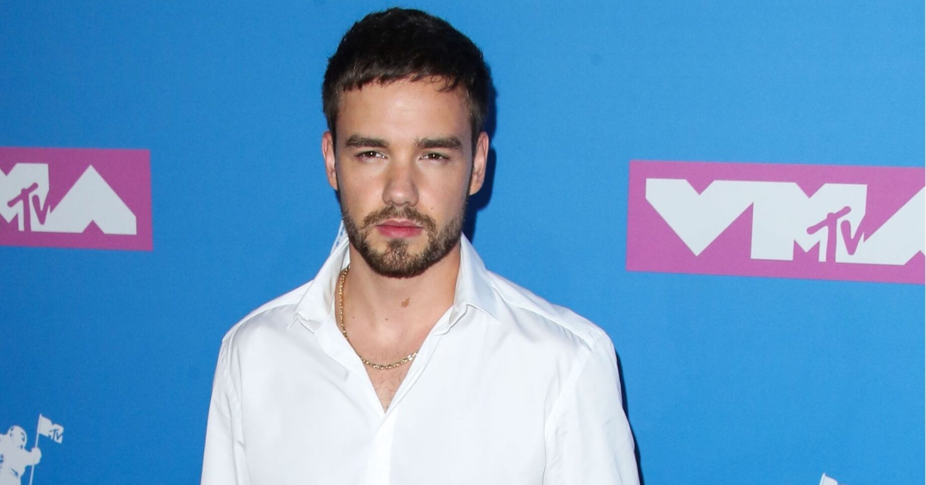 Liam Payne at red carpet event