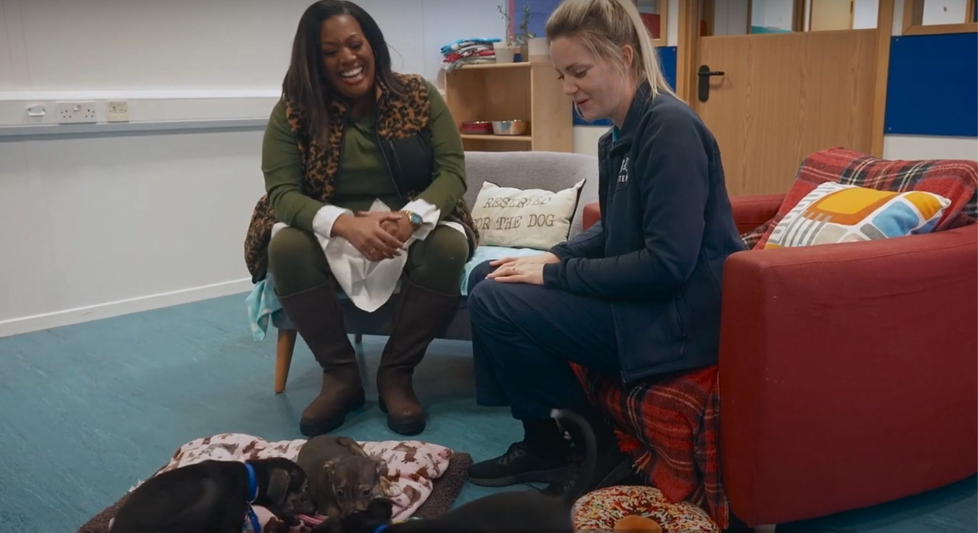 Screenshot of Alison Hammond from For the Love of Dogs
