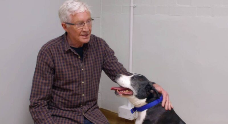 Paul O'Grady strokes a dog