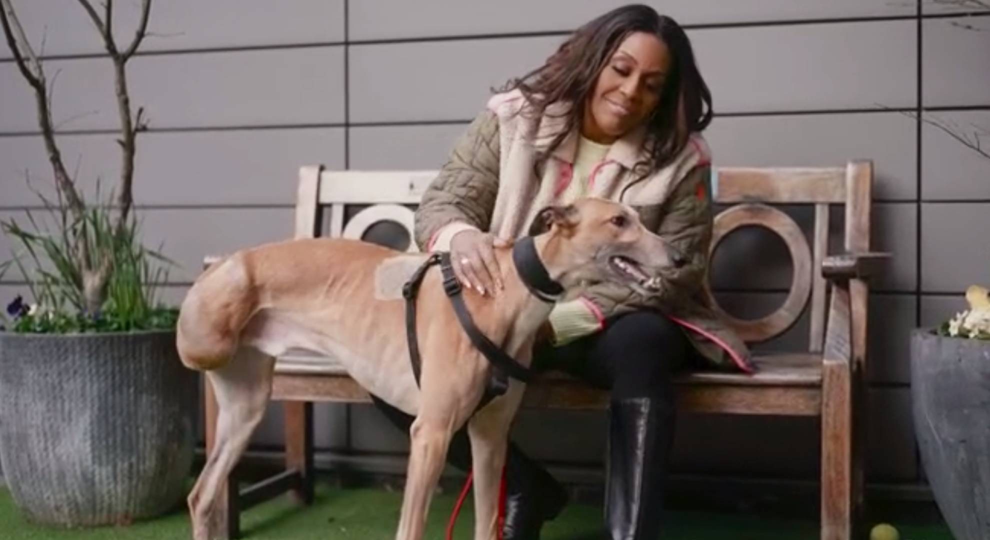 Alison Hammond strokes a dog