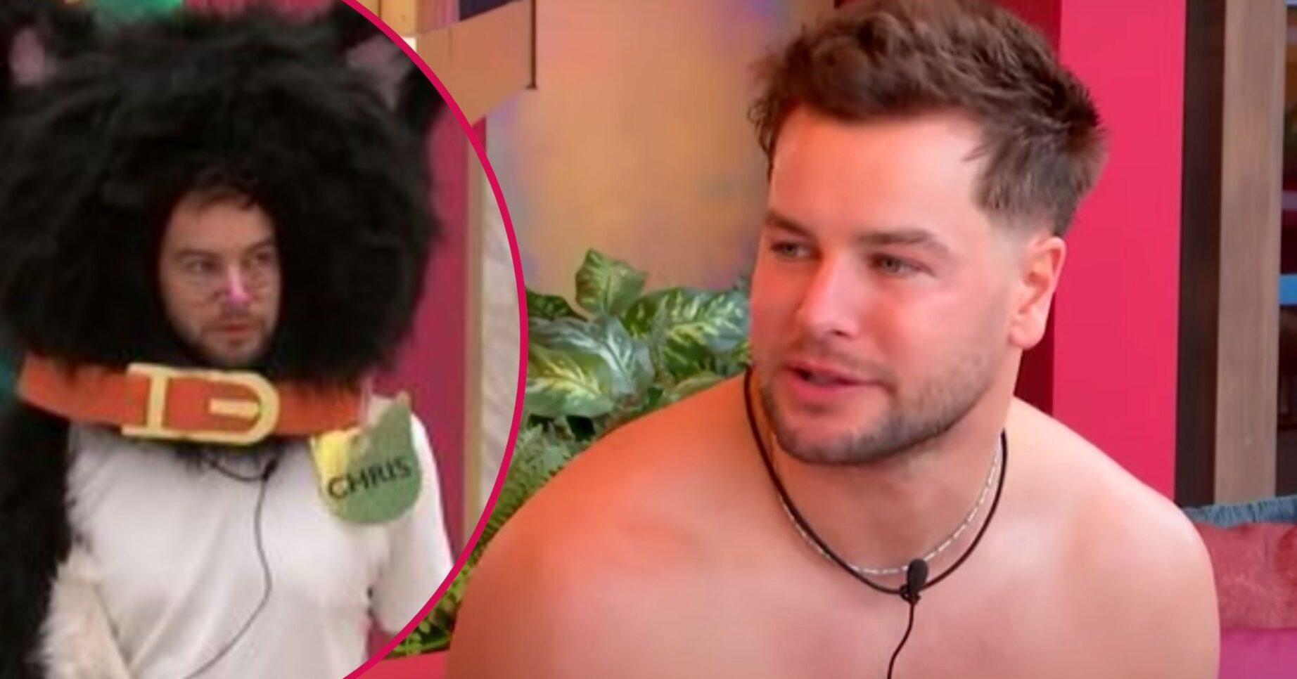 Celebrity Big Brother star Chris Hughes dressed as a cat