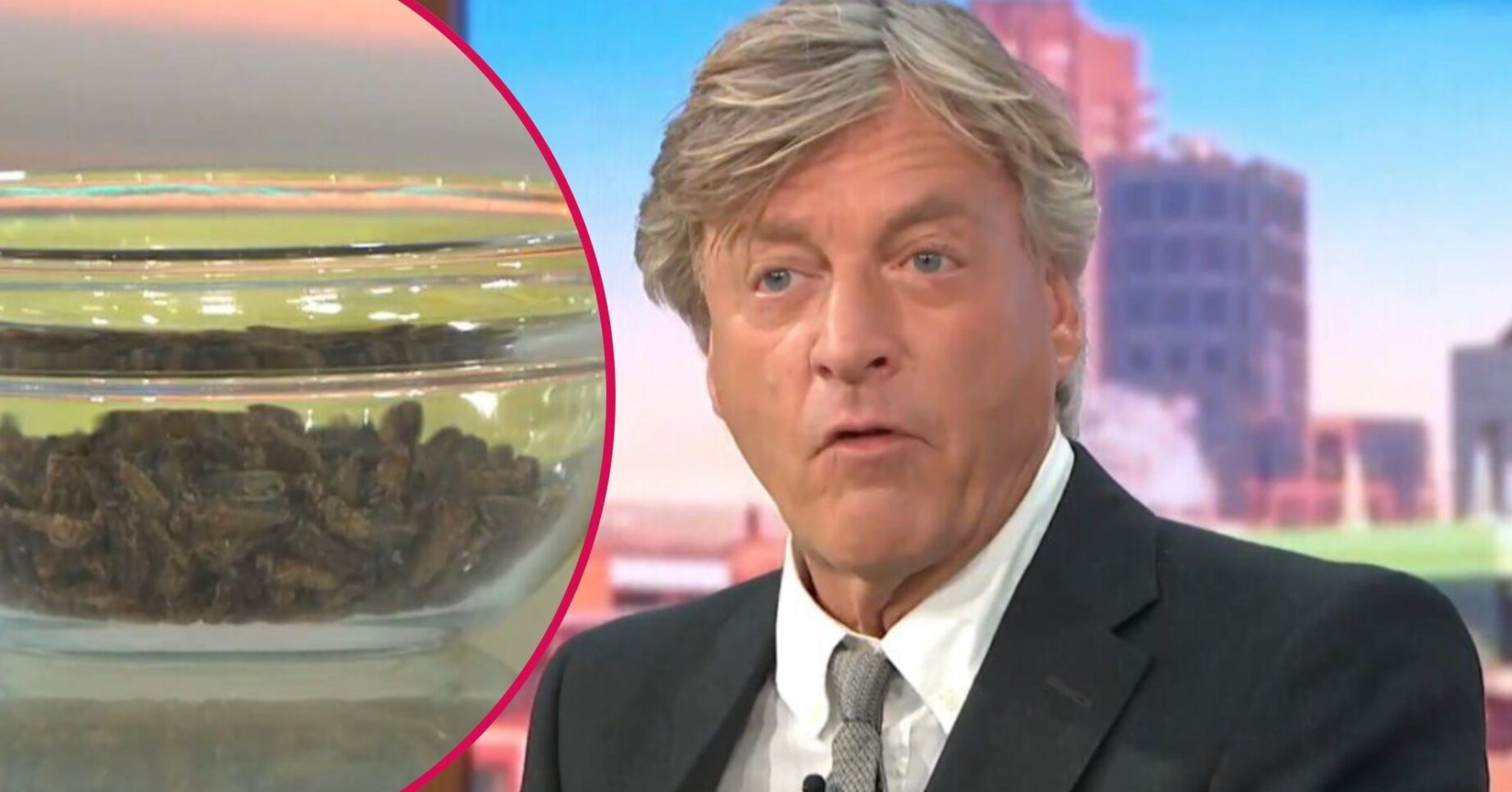 Richard Madeley on Good Morning Britain