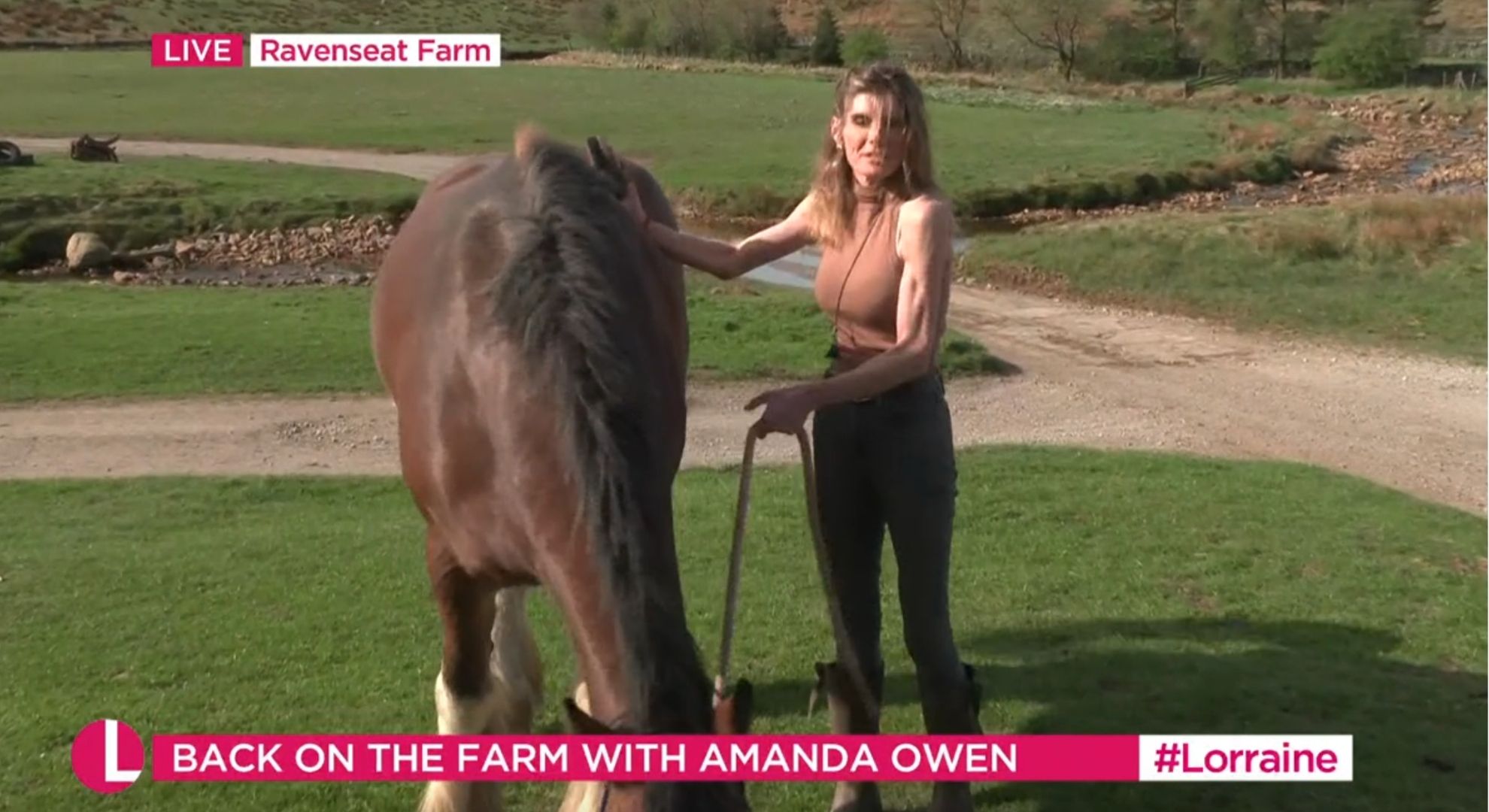 Amanda Owen grooming a horse on Lorraine