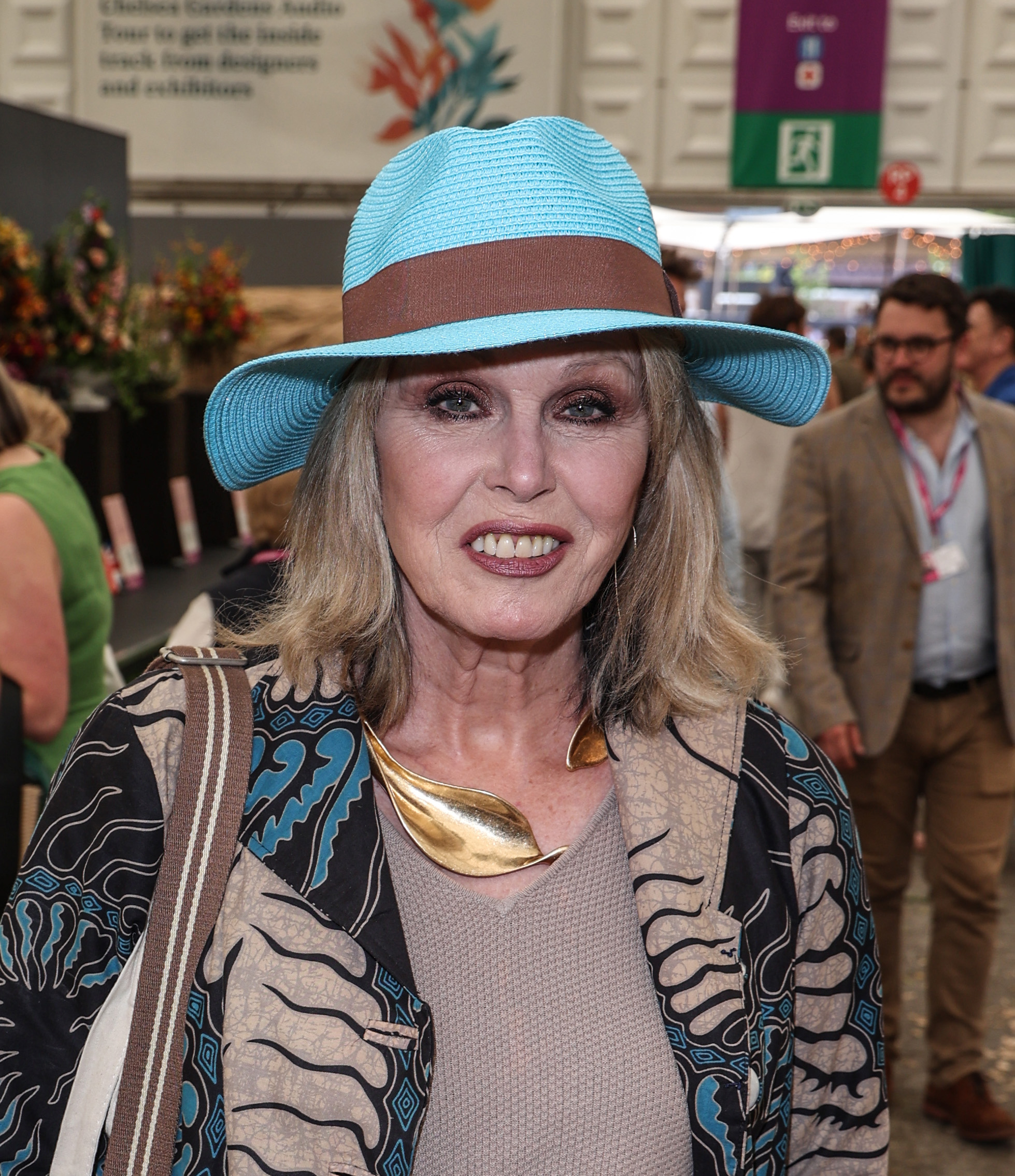 Joanna Lumley smiling