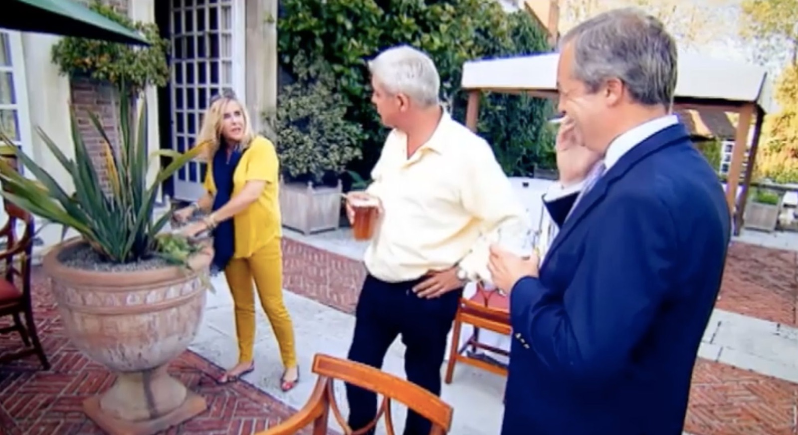 Gogglebox stars and Nigel Farage