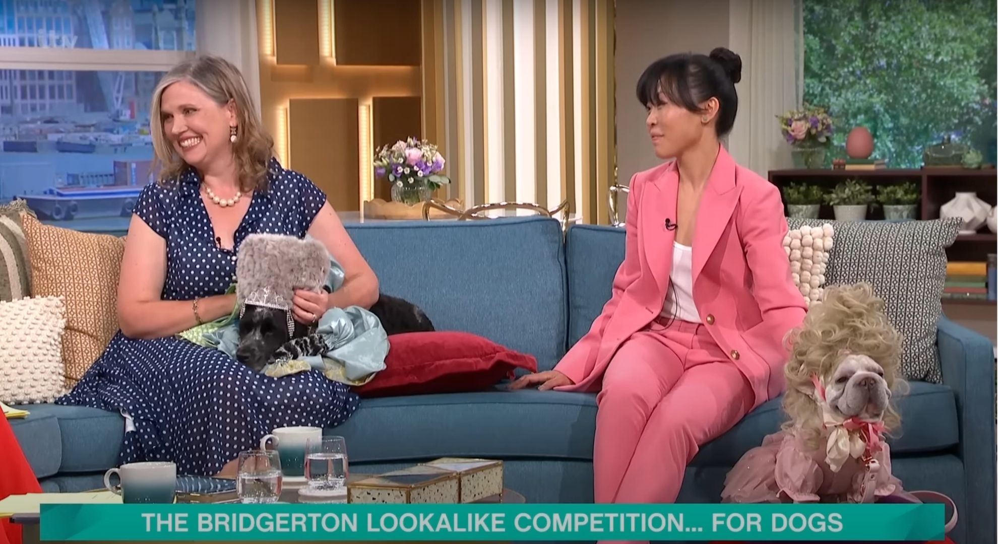 The dogs and their owners on This Morning 