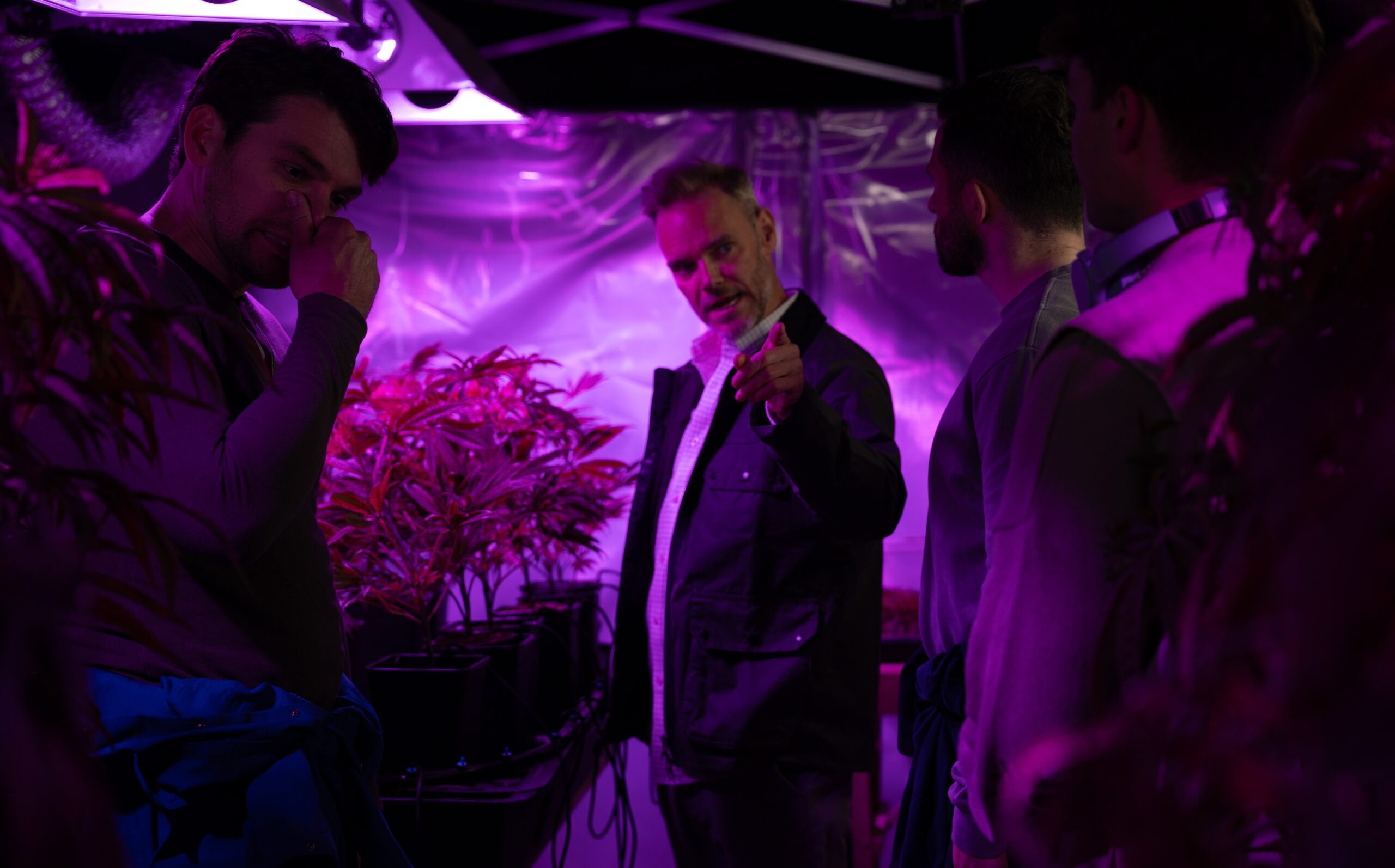 Mack, Ross, Ray and Lewis next to cannabis 