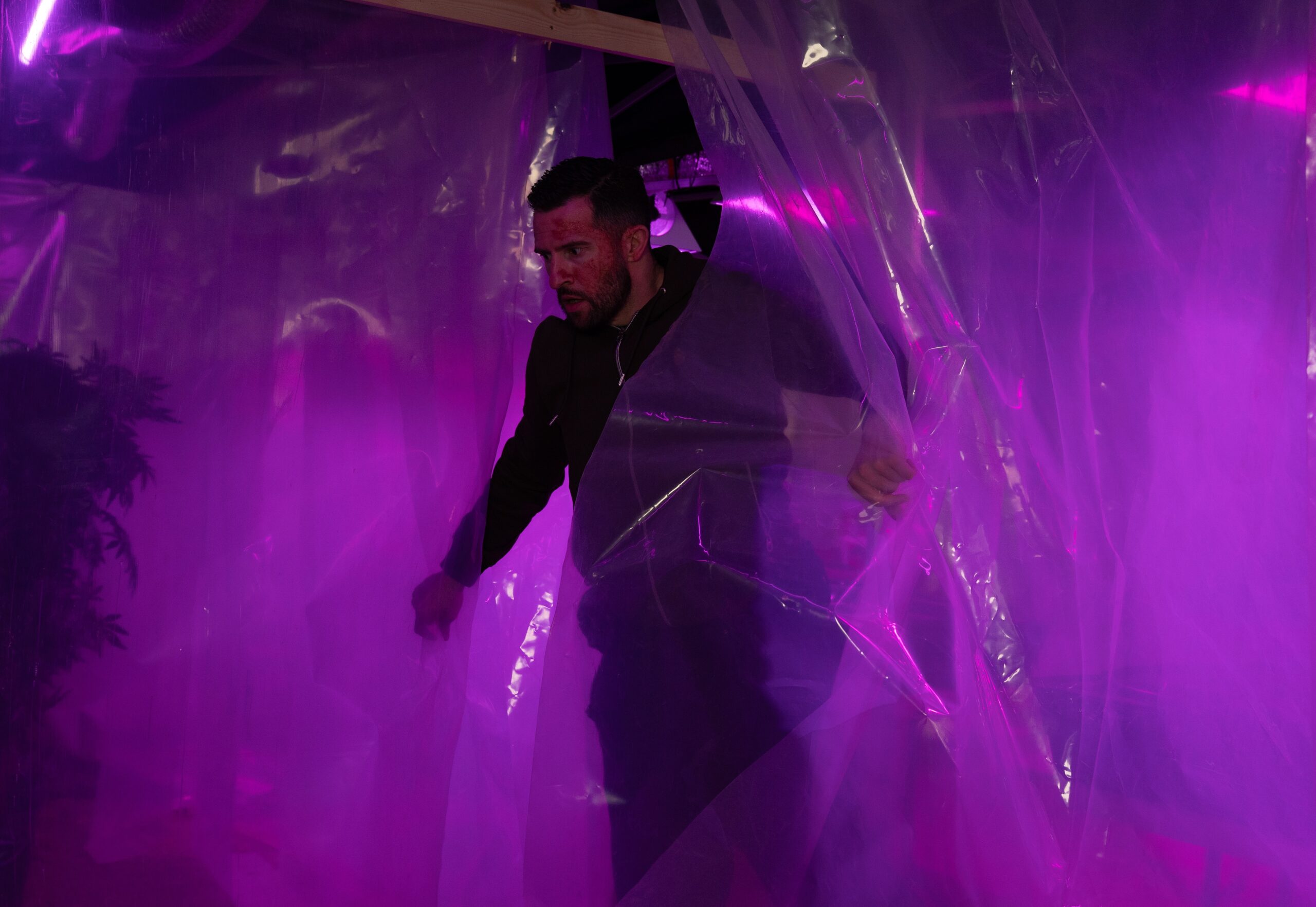 Ross in cannabis farm