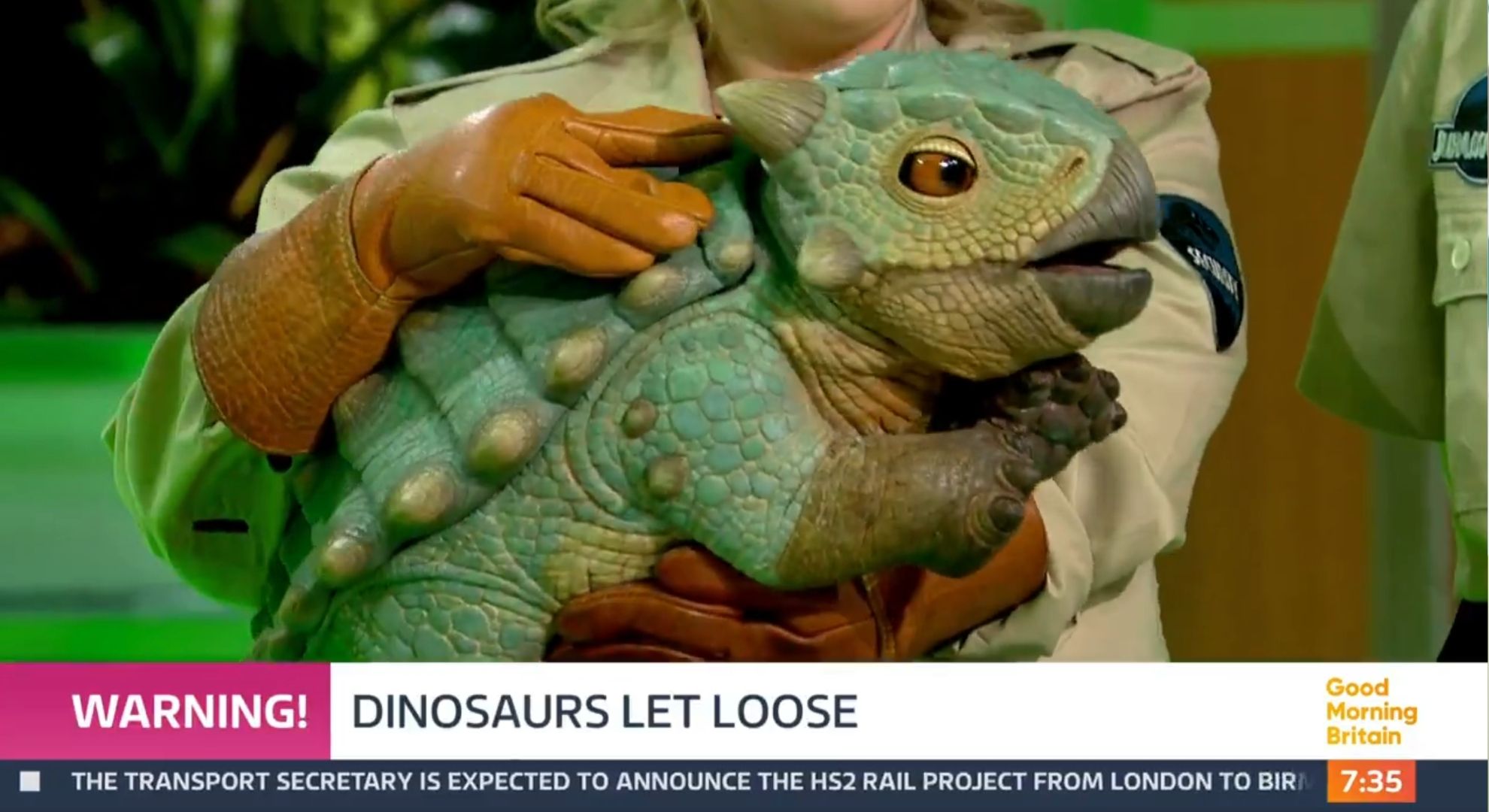 Baby dinosaur on GMB today 