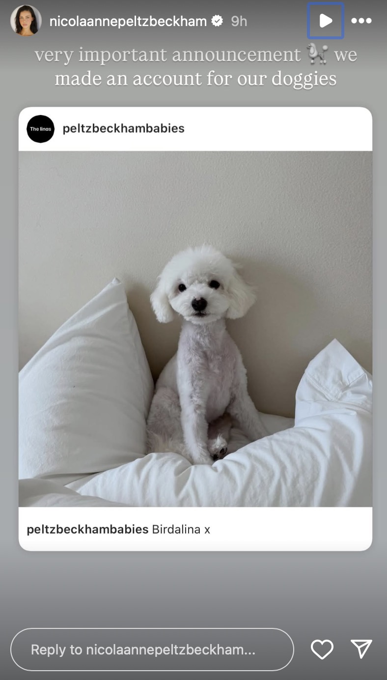 Nicola Peltz Instagram Story