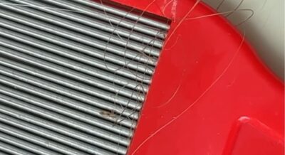 Ashley James' nit comb