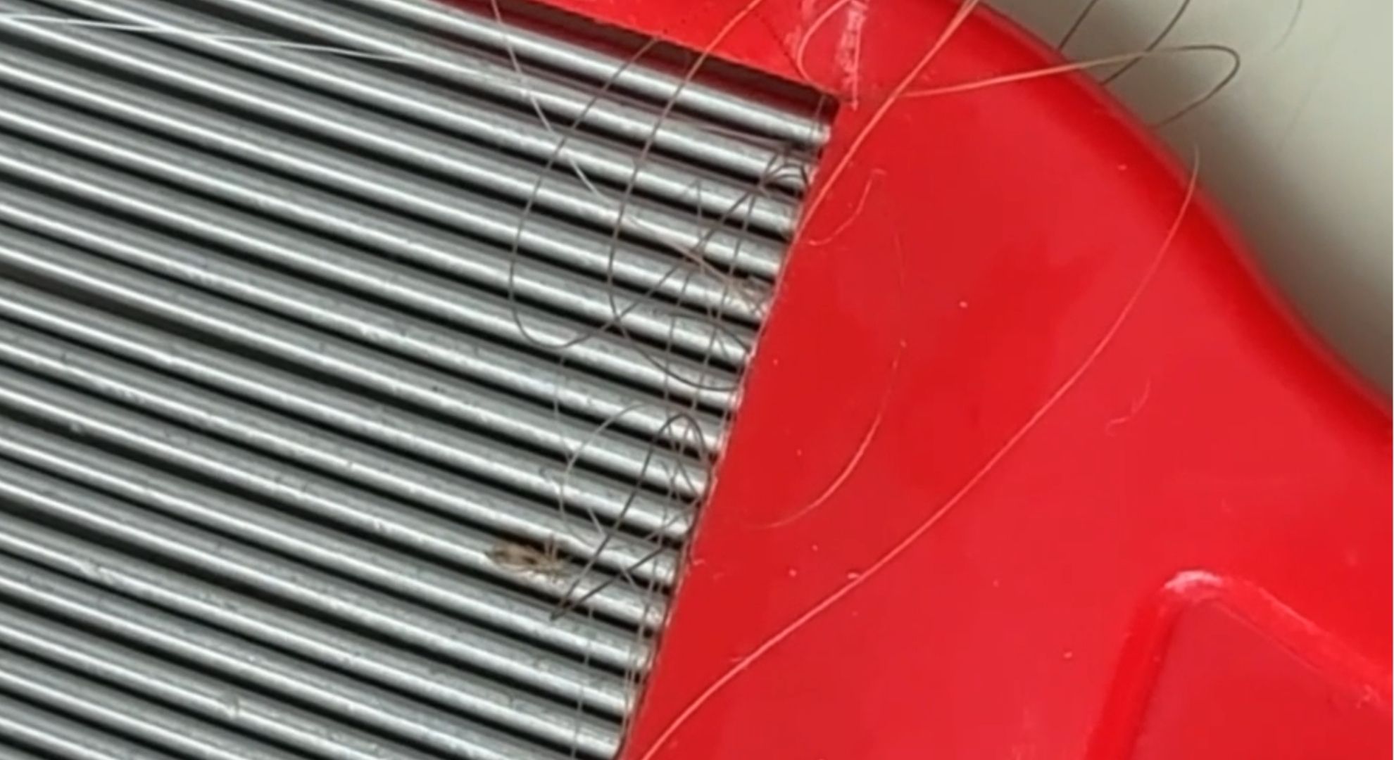 Ashley James' nit comb 