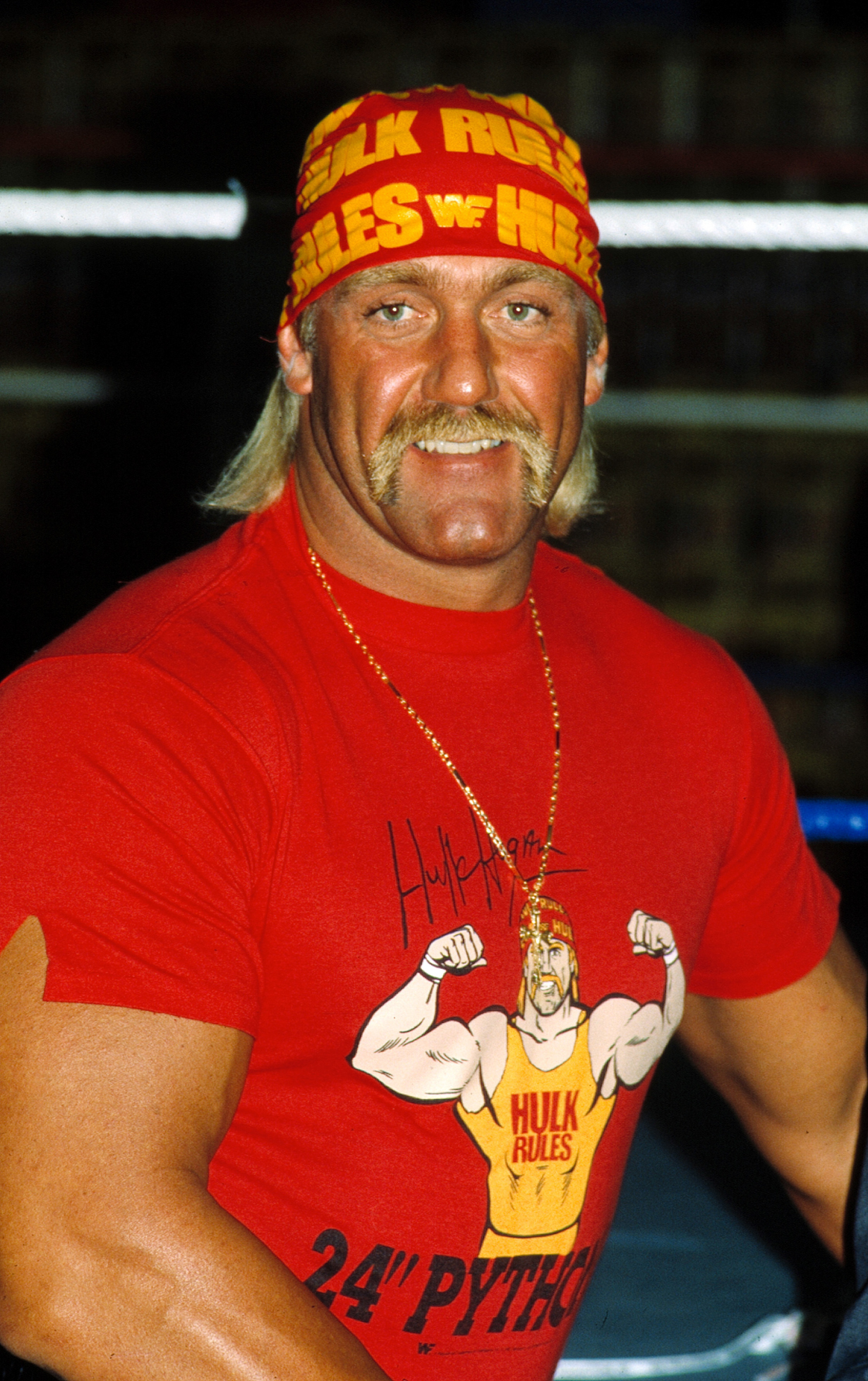 Hulk Hogan