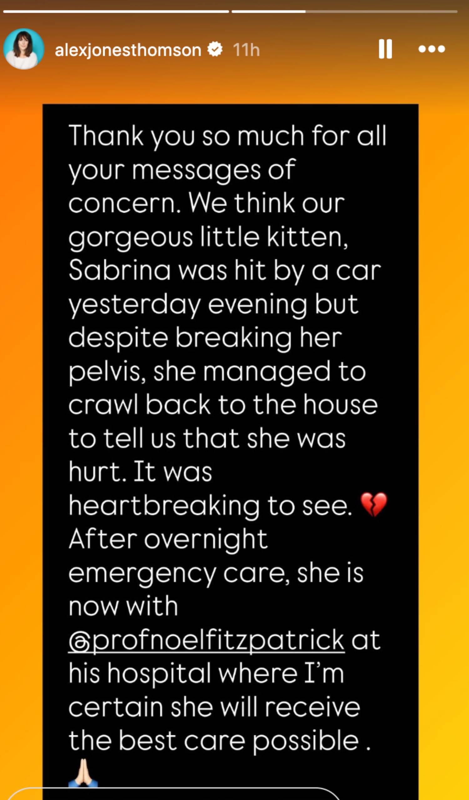 Alex Jones shares kitten news