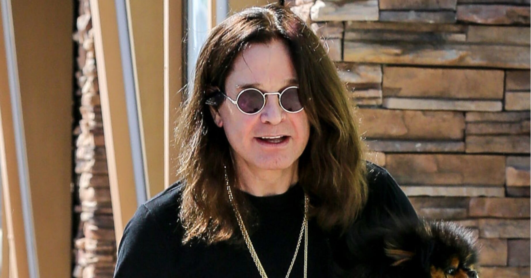 Ozzy Osbourne ED pic