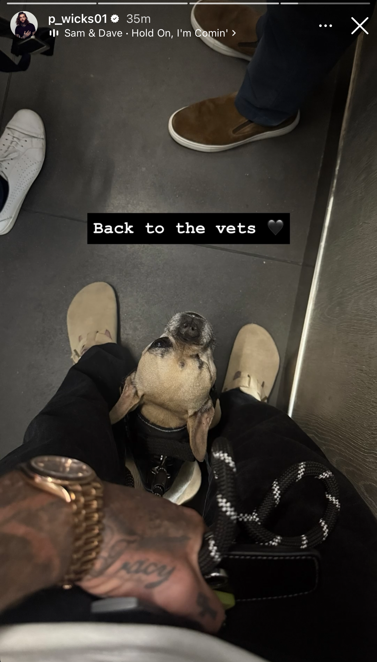 Pete Wicks at the vets with dog Peggy