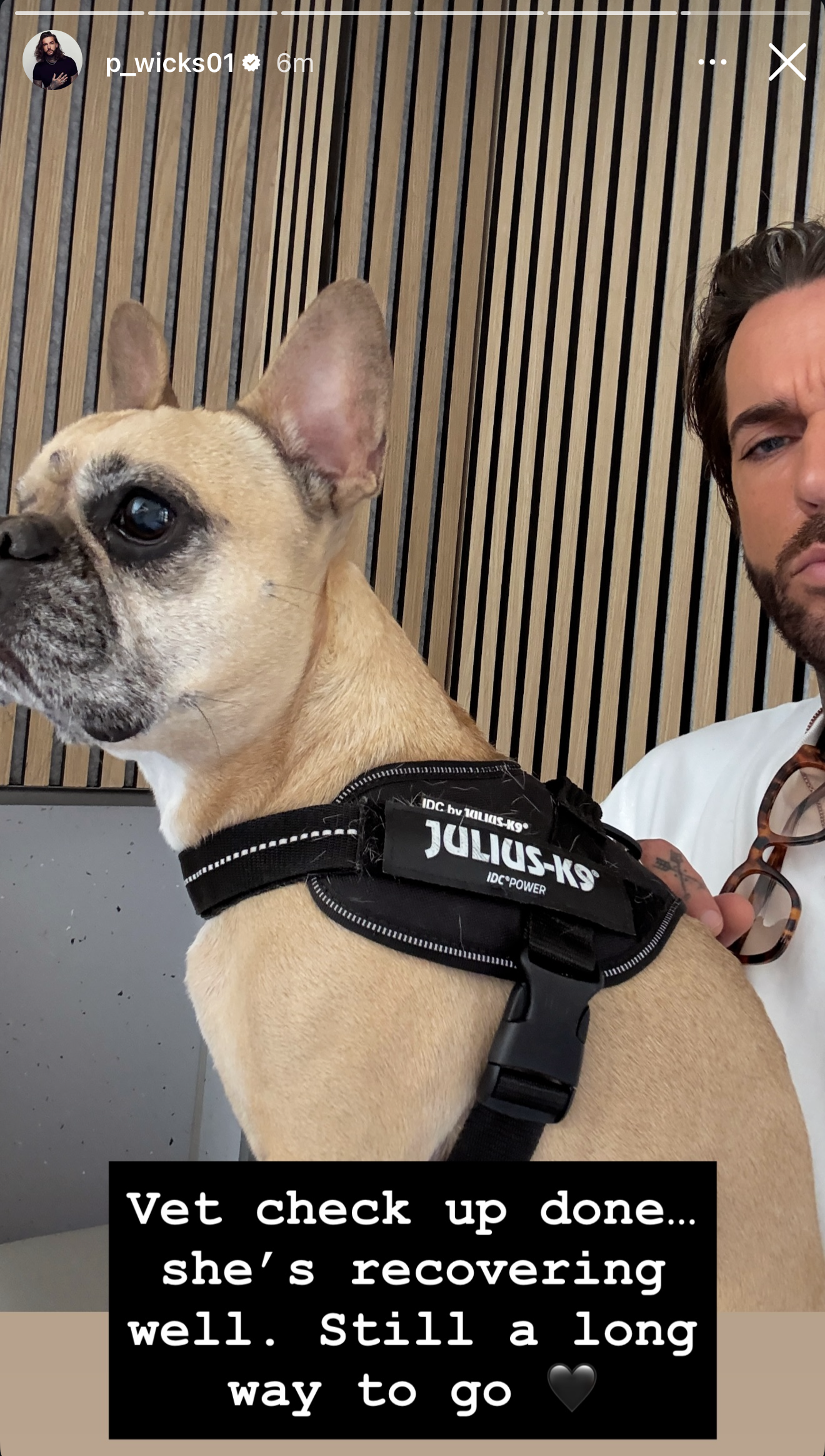 Pete Wicks selfie with dog Peggy