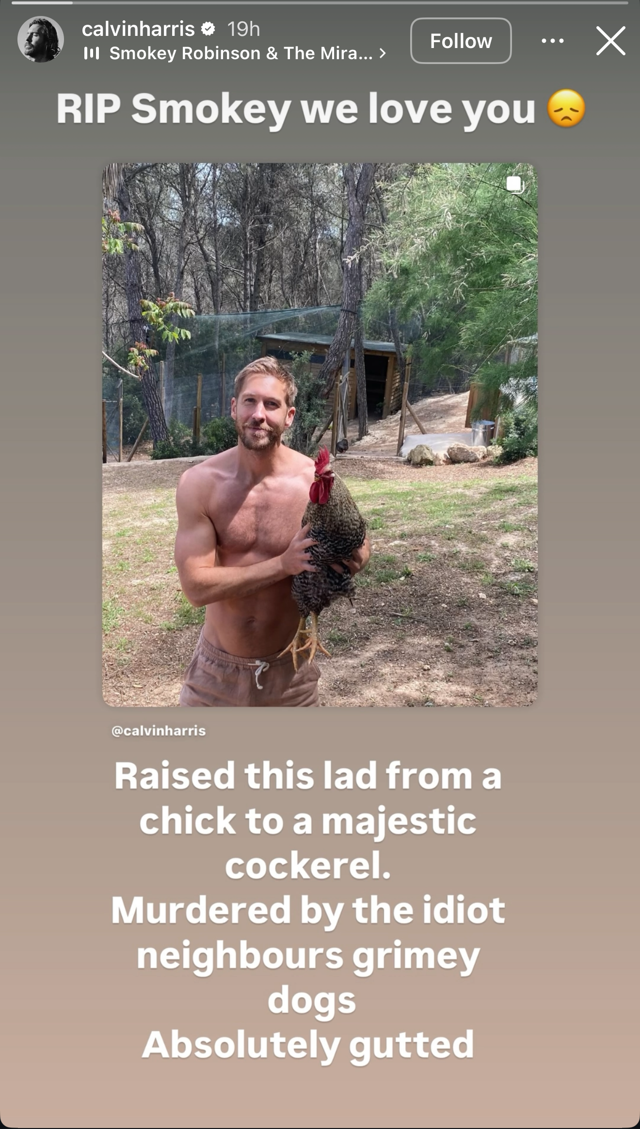 Calvin Harris shares pet rooster death on Instagram
