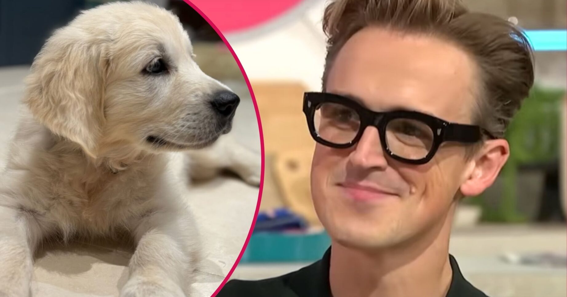 Tom Fletcher smiles, a puppy peers