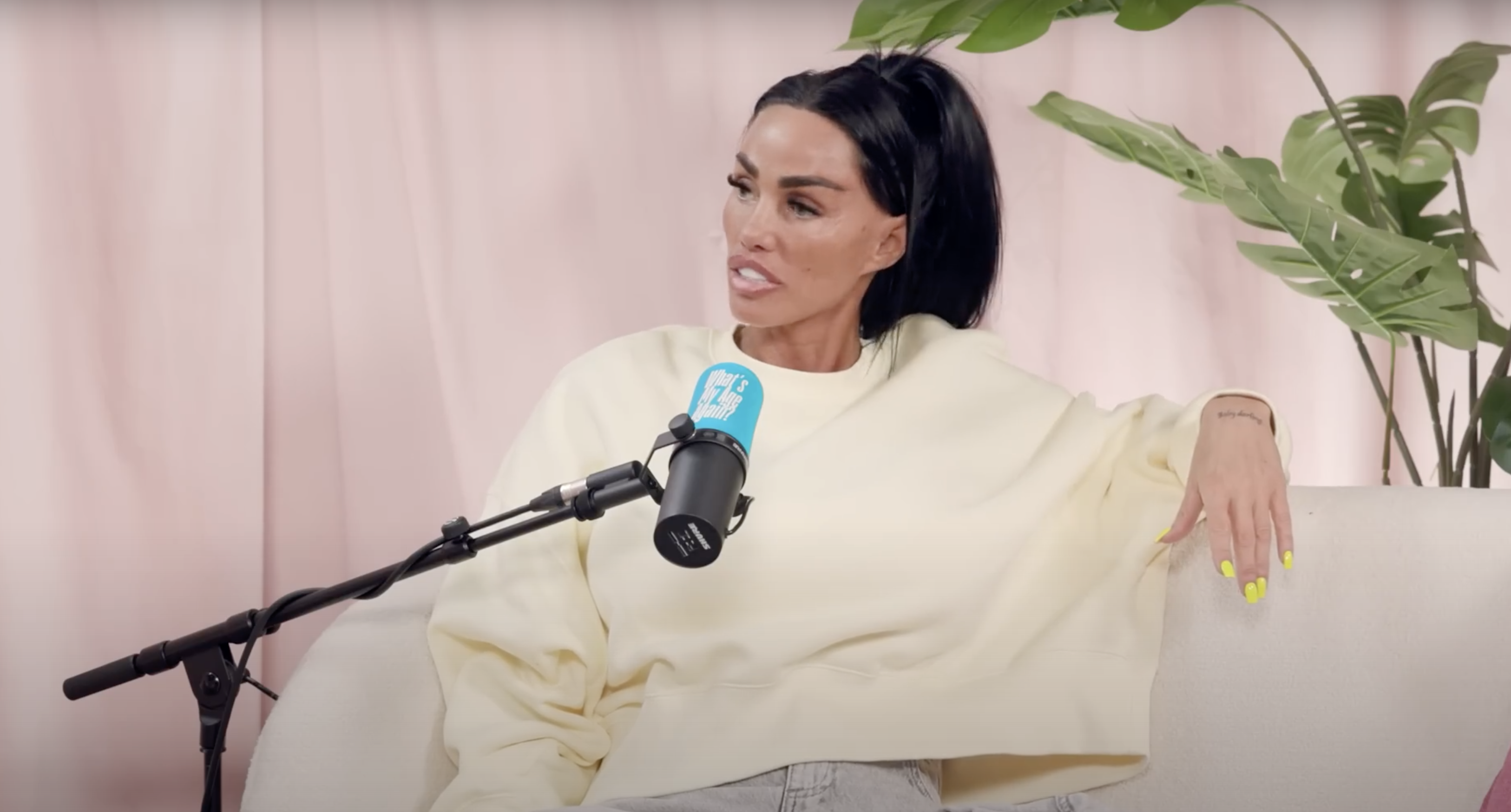 Katie Price on podcast