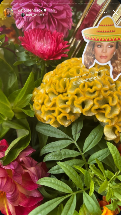Amanda Holden decorations