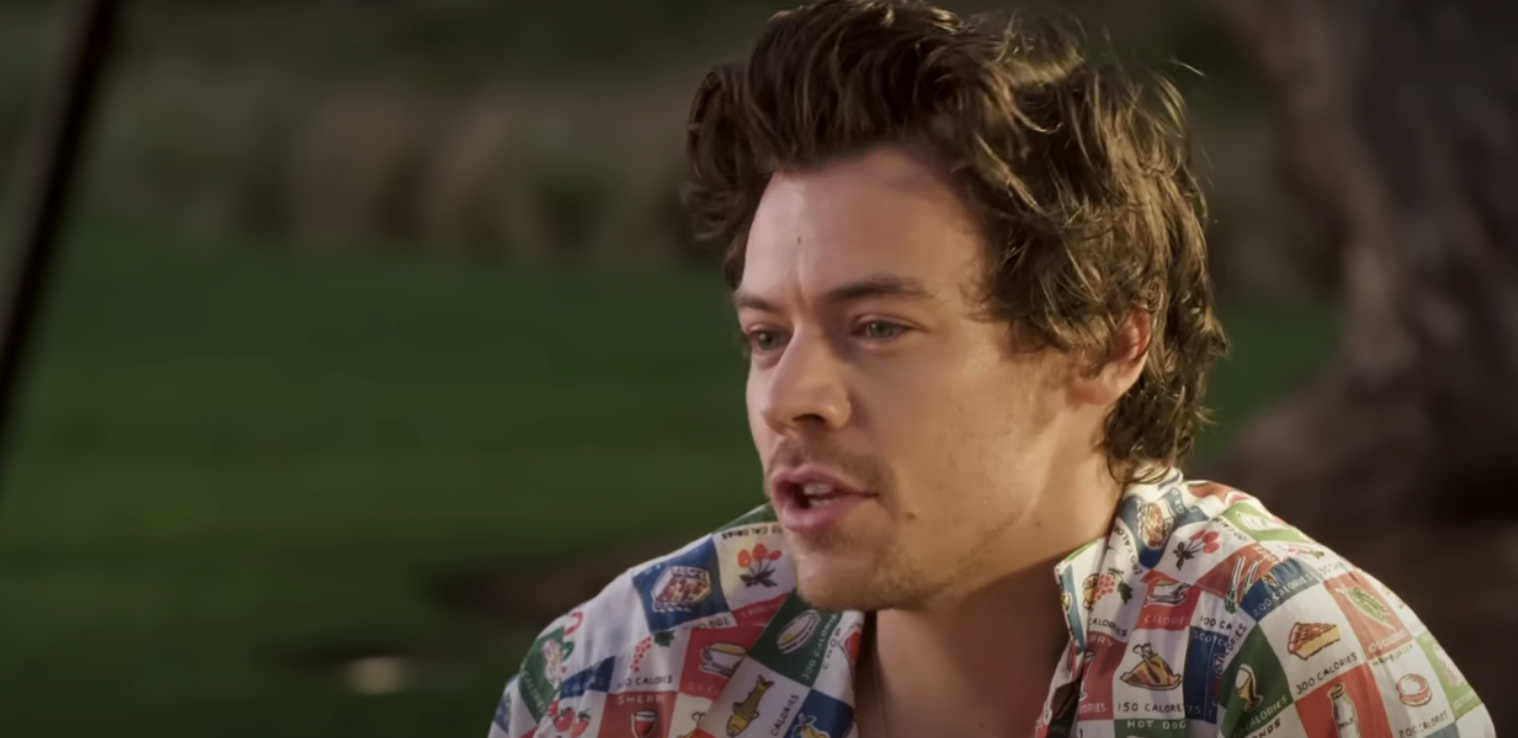 Harry Styles at interview