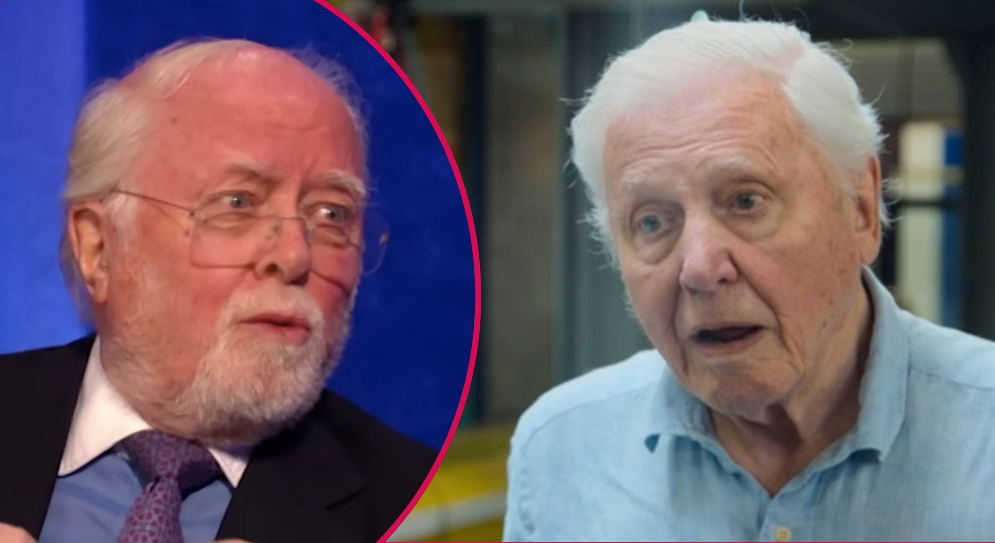 Sir David Attenborough’s heartbreak after ‘devastating’ death of brother Richard: ‘A shadow of his former self’