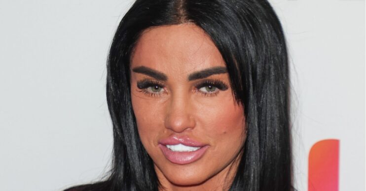 Katie Price posing