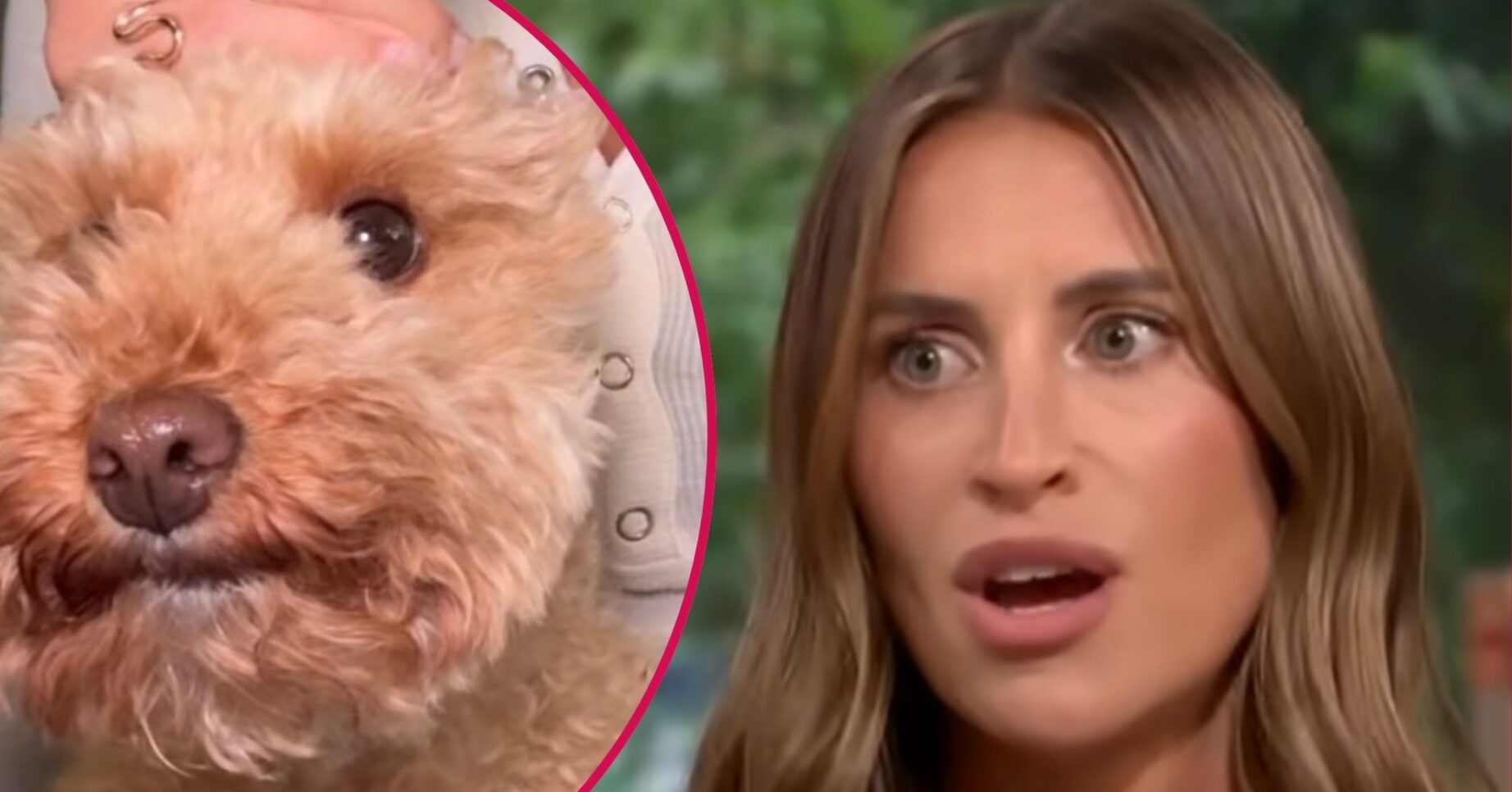 ED comp: Ferne McCann TikTok with dog / Ferne McCann on This Morning