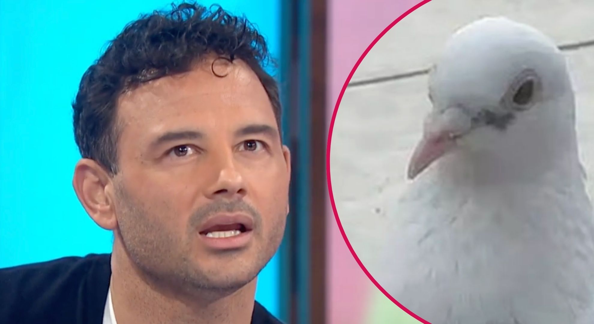 Inside Ryan Thomas’ unusual relationship with bird he thinks is his dad reincarnated