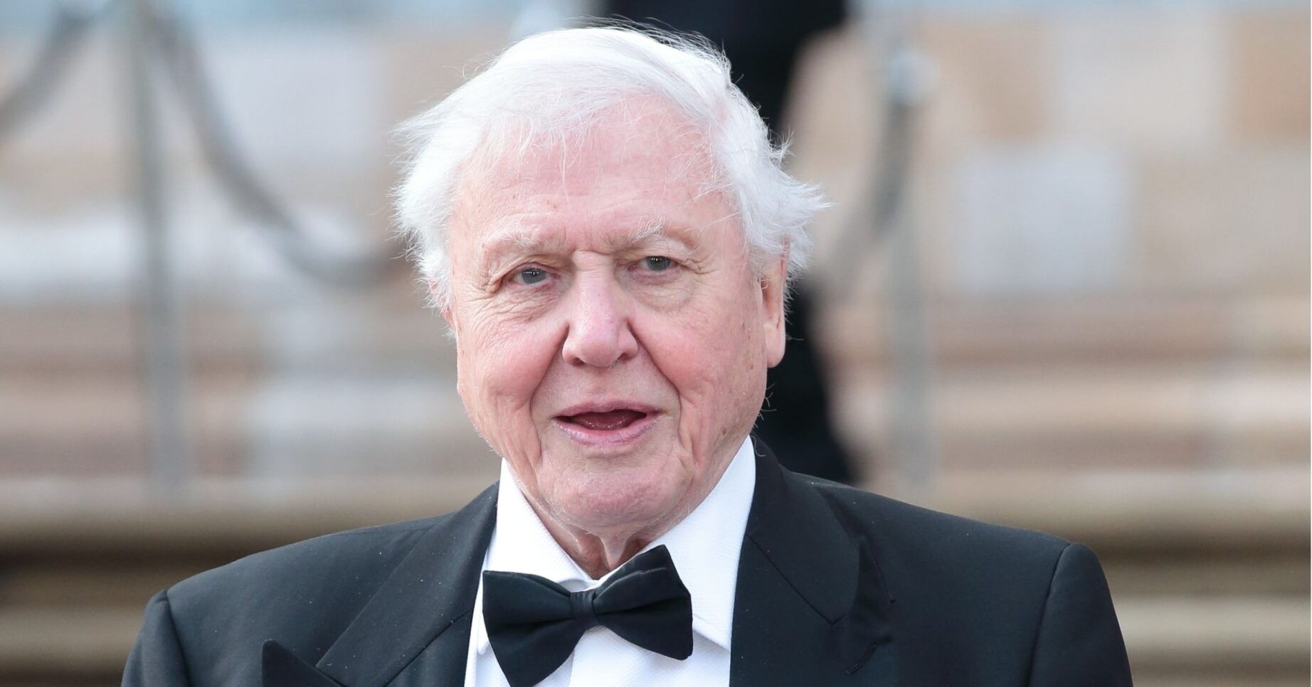 Sir David Attenborough