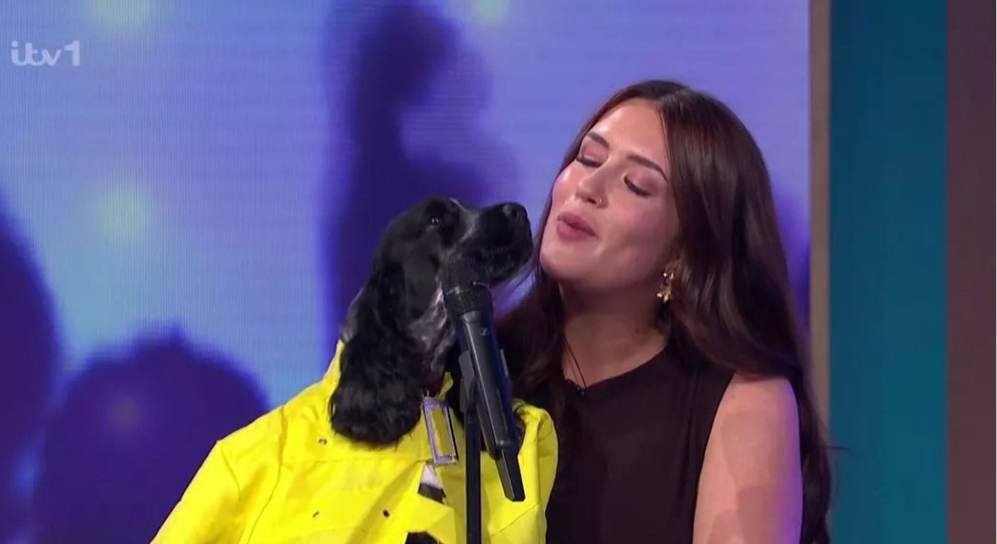 Pup Idol on This Morning